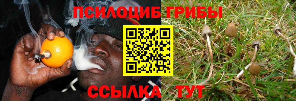Галлюциногенные грибы GOLDEN TEACHER  Псилоцибиновые грибы мухоморы  Вход с VPN  Рузаевка 